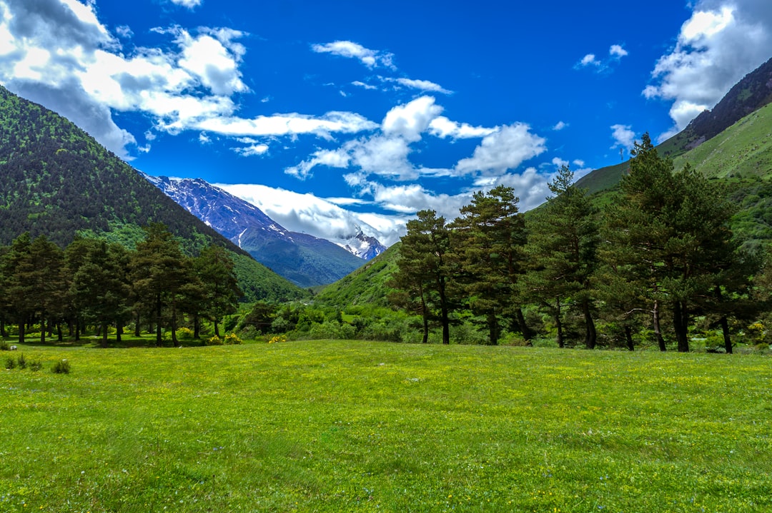 Alpine meadow in Caucasus mountains of Northern Ossetia