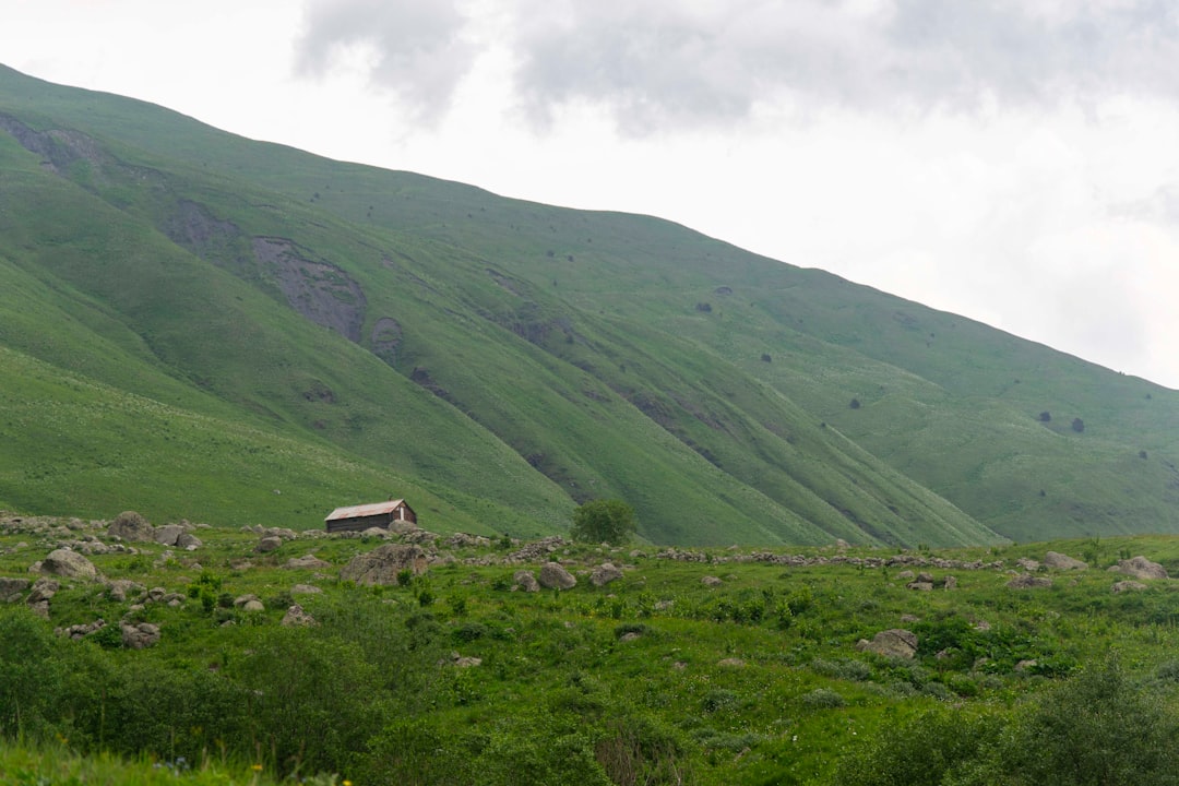 A lonely shepherd's hut in Digora National Park